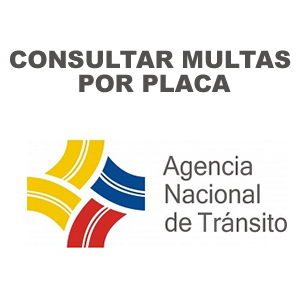 Consultar Multas Por Placa Y Licencia Ant Ecuador